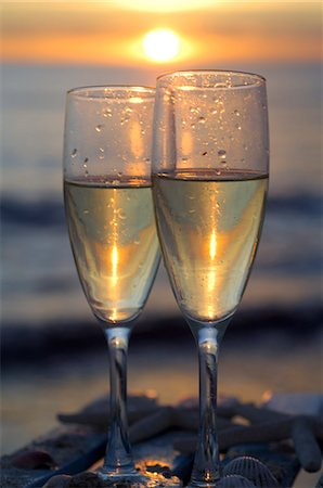 Champagne Toast for Elopement in Florida